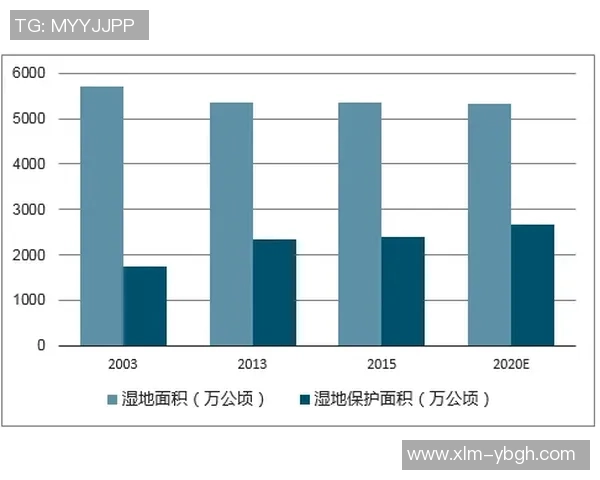 西安极限运动队战术分析与表现评估全景解读